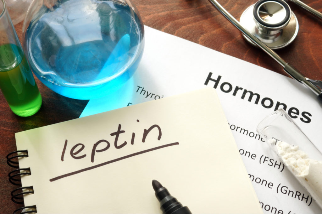 Leptin hormone