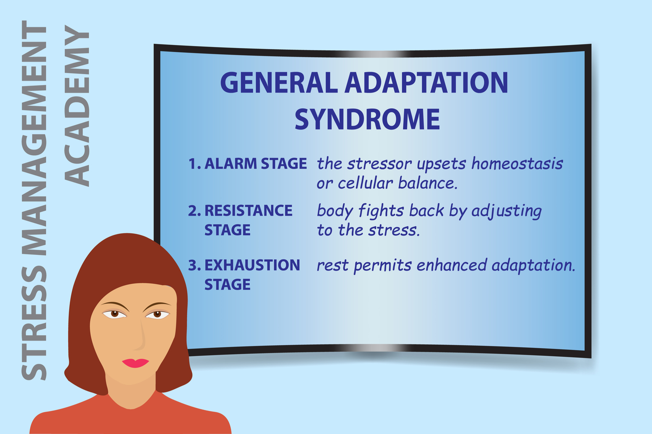 the first phase of the general adaptation syndrome is