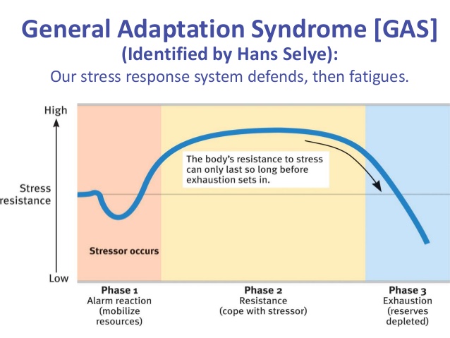 the first phase of the general adaptation syndrome is