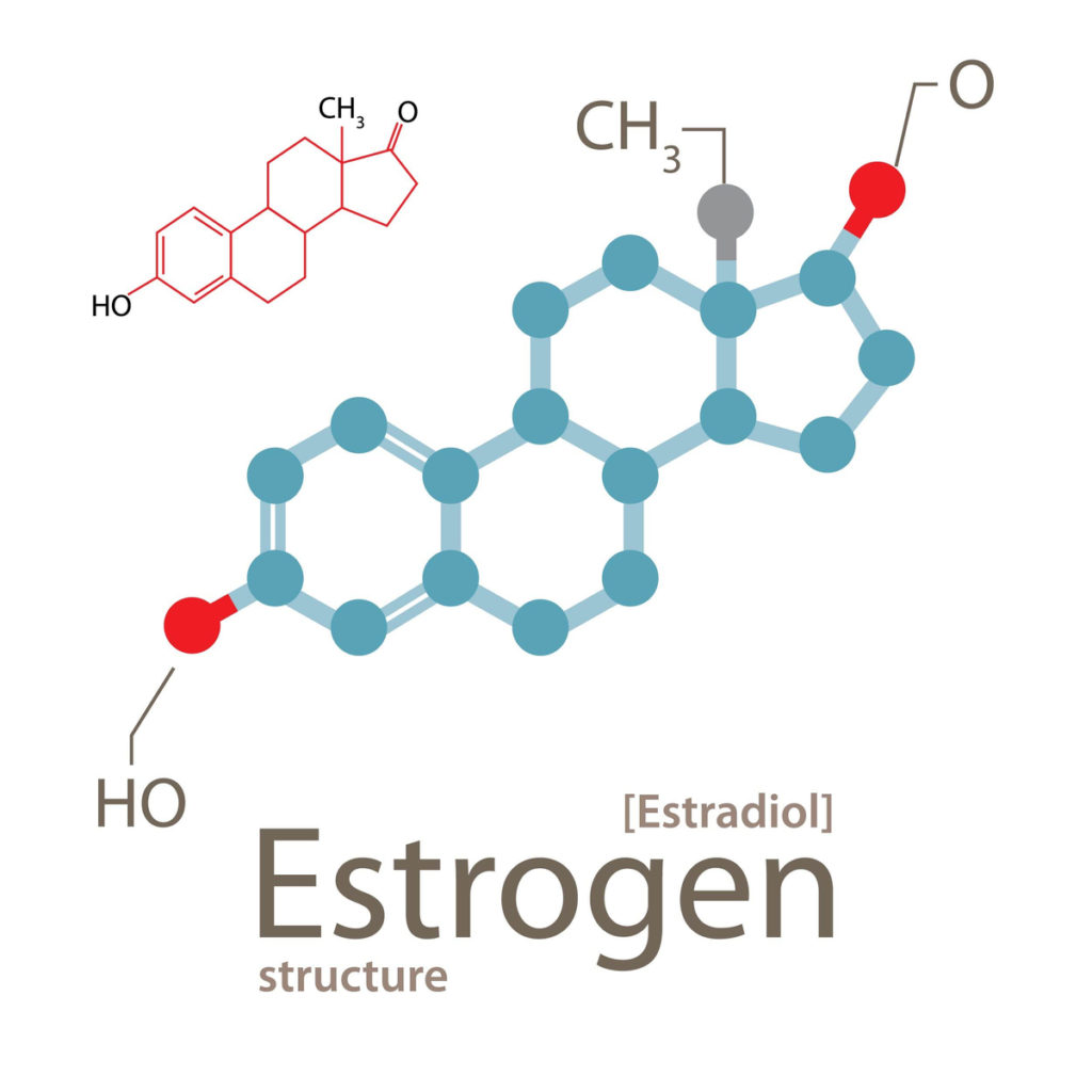 estrogen molecule