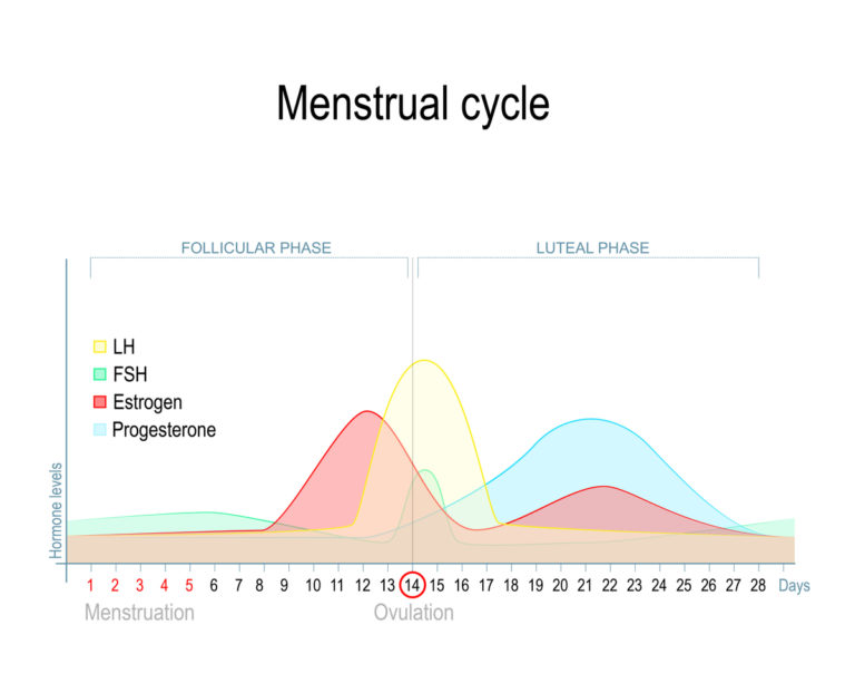 Normal Estradiol Levels During Luteal Phase Normal Estradiol Levels During Luteal Phase