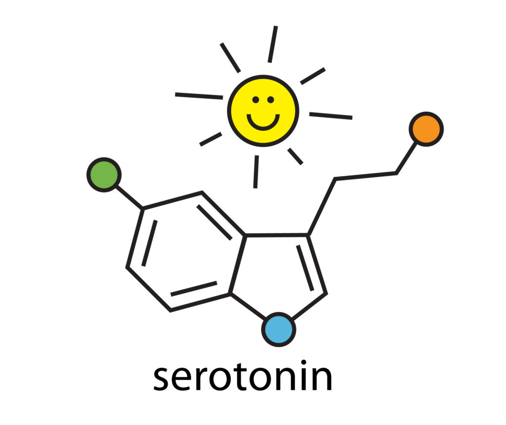 serotonin happy molecule