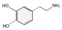 DOPA molecule