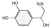 Norepinephrine molecule