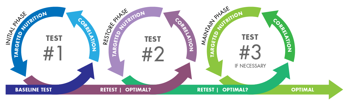 CSM cycle infographic