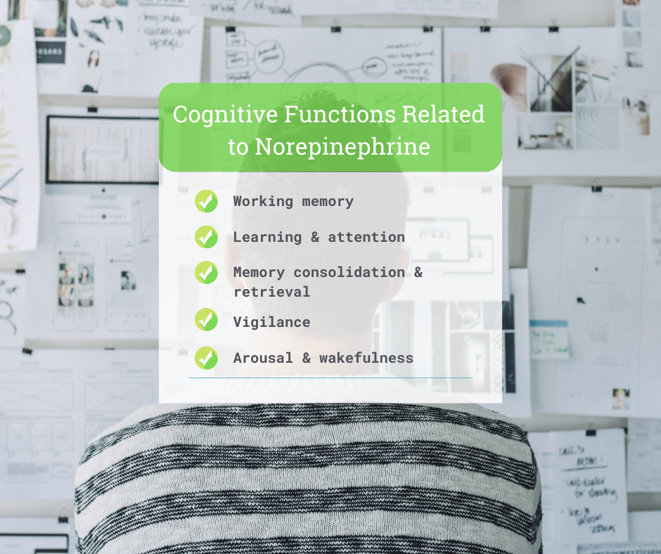 Cognitive Health and Your Neurotransmitters 5