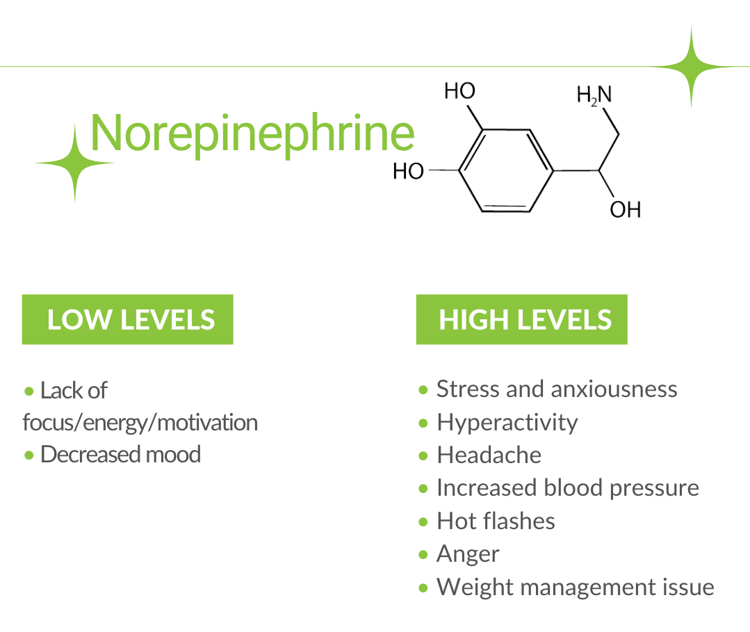 Noradrenaline or Norepinephrine: Hormone or Neurotransmitter 1