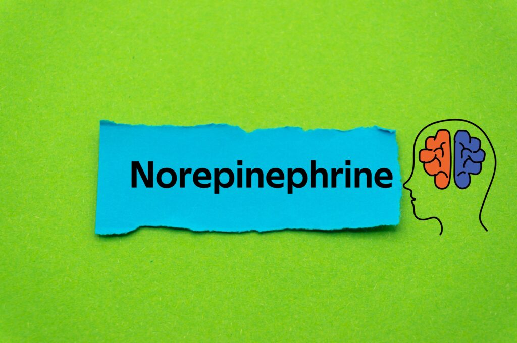 Norepinephrine on paper next to a brain