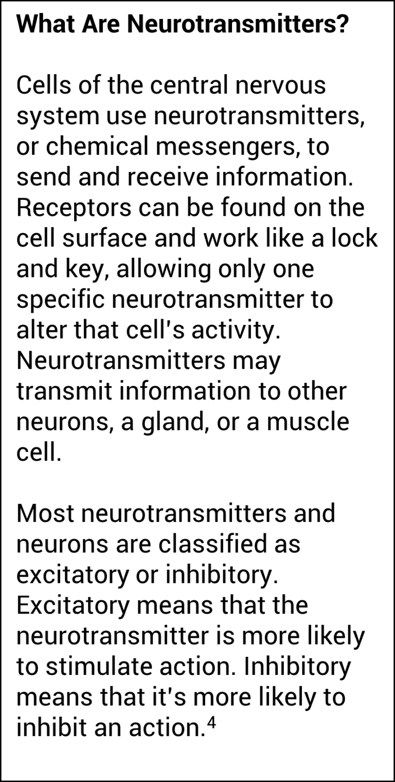 What Are Neurotransmitters 768x1519 